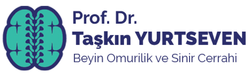 Prof. Dr. Taşkın YURTSEVEN